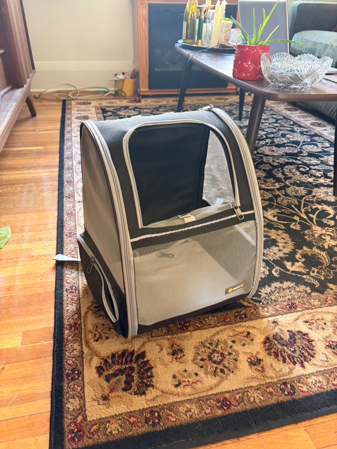 Texsens Pet Carrier Backpack