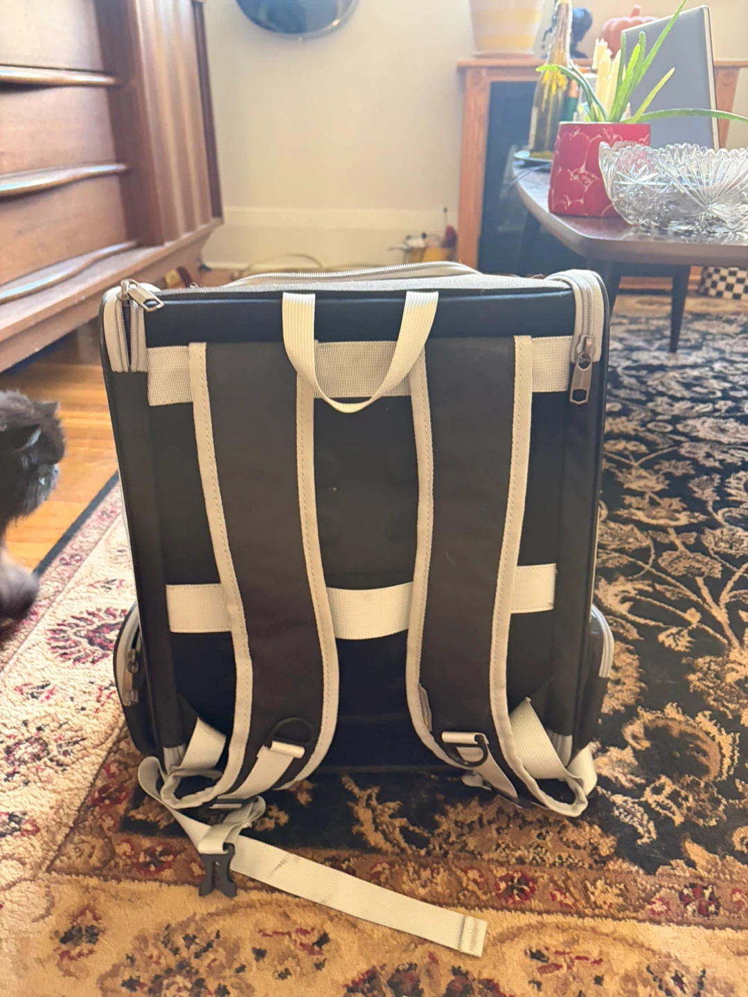 Texsens Pet Carrier Backpack - photo 2