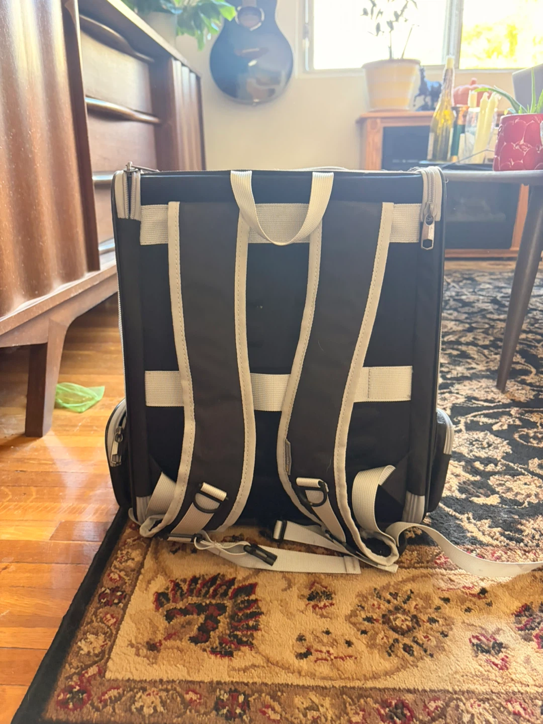 Texsens Pet Carrier Backpack - photo 3