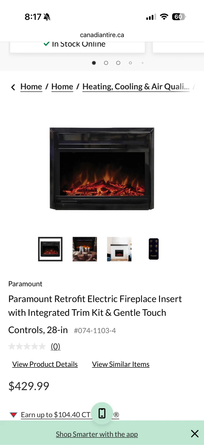 Paramount Electric Fireplace Insert - photo 4