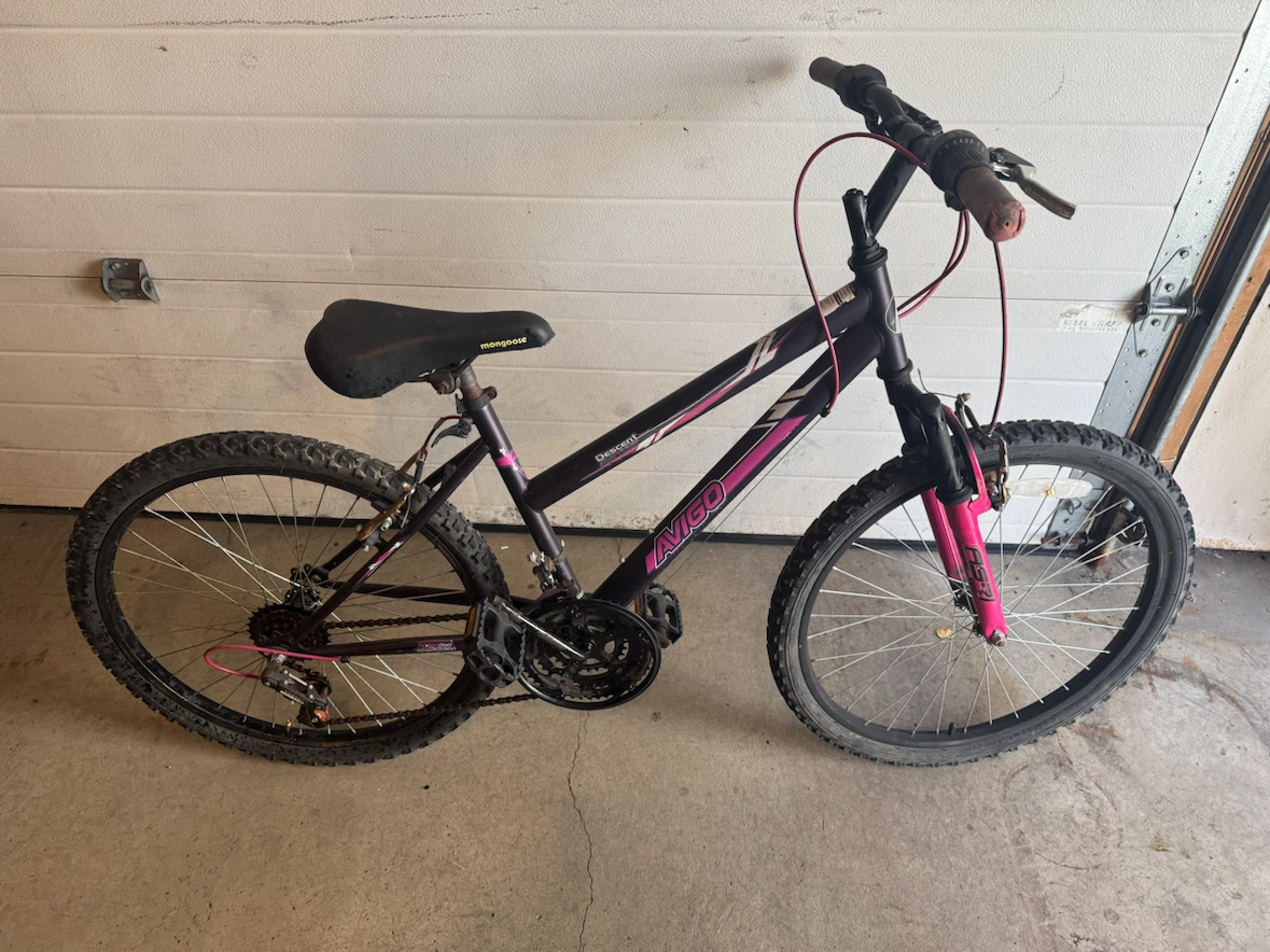 Mountain Bike. Only $20