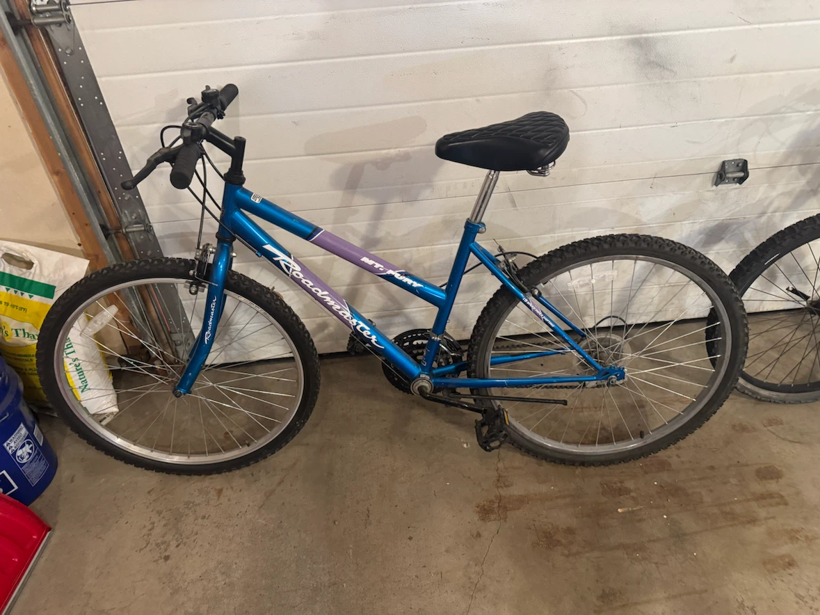Ladies Bike. Only $30