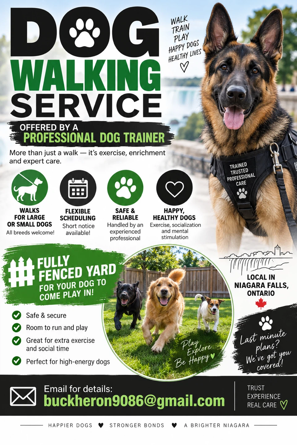 Dog walking service by professional dog trainer