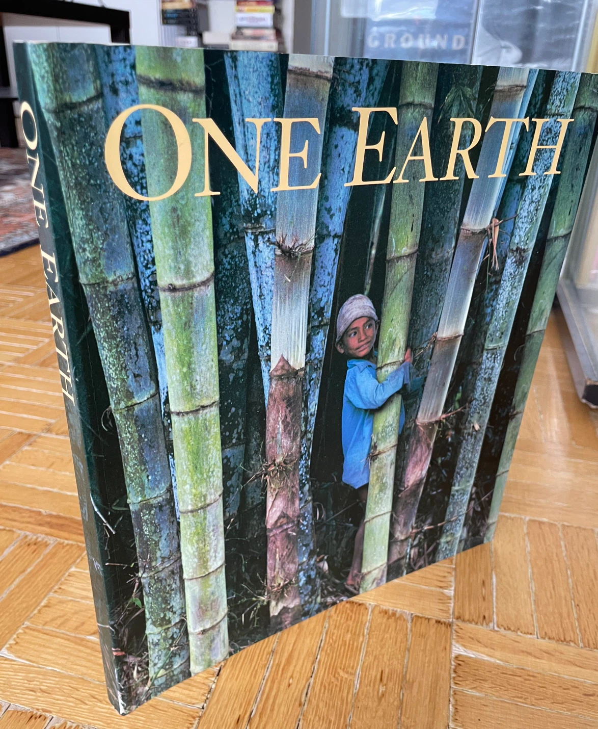 One Earth Photographed By More Than Hardcover Book