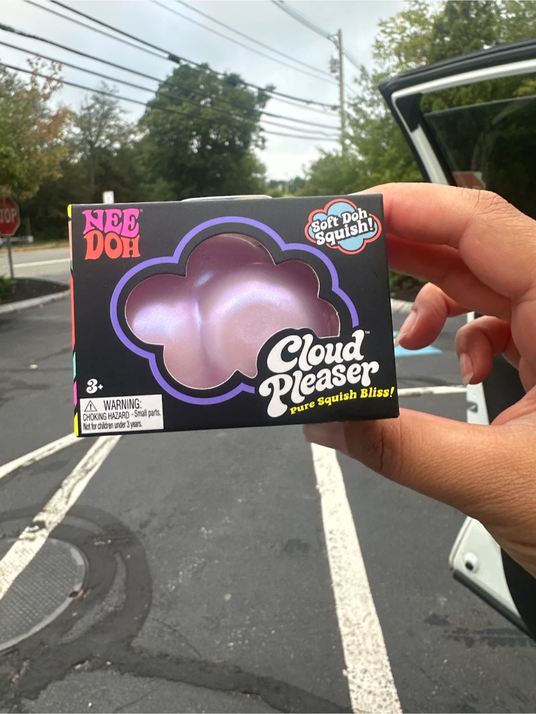 NeeDoh Cloud Pleaser Squishy