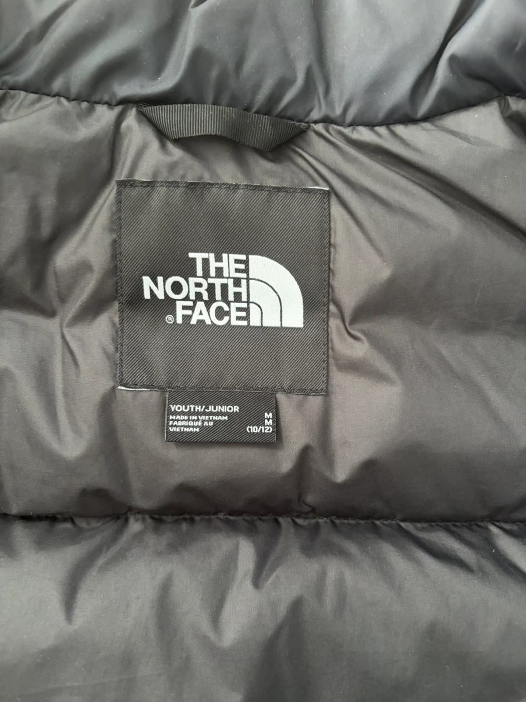 The North Face Nuptse 700 Puffer Jacket - photo 4