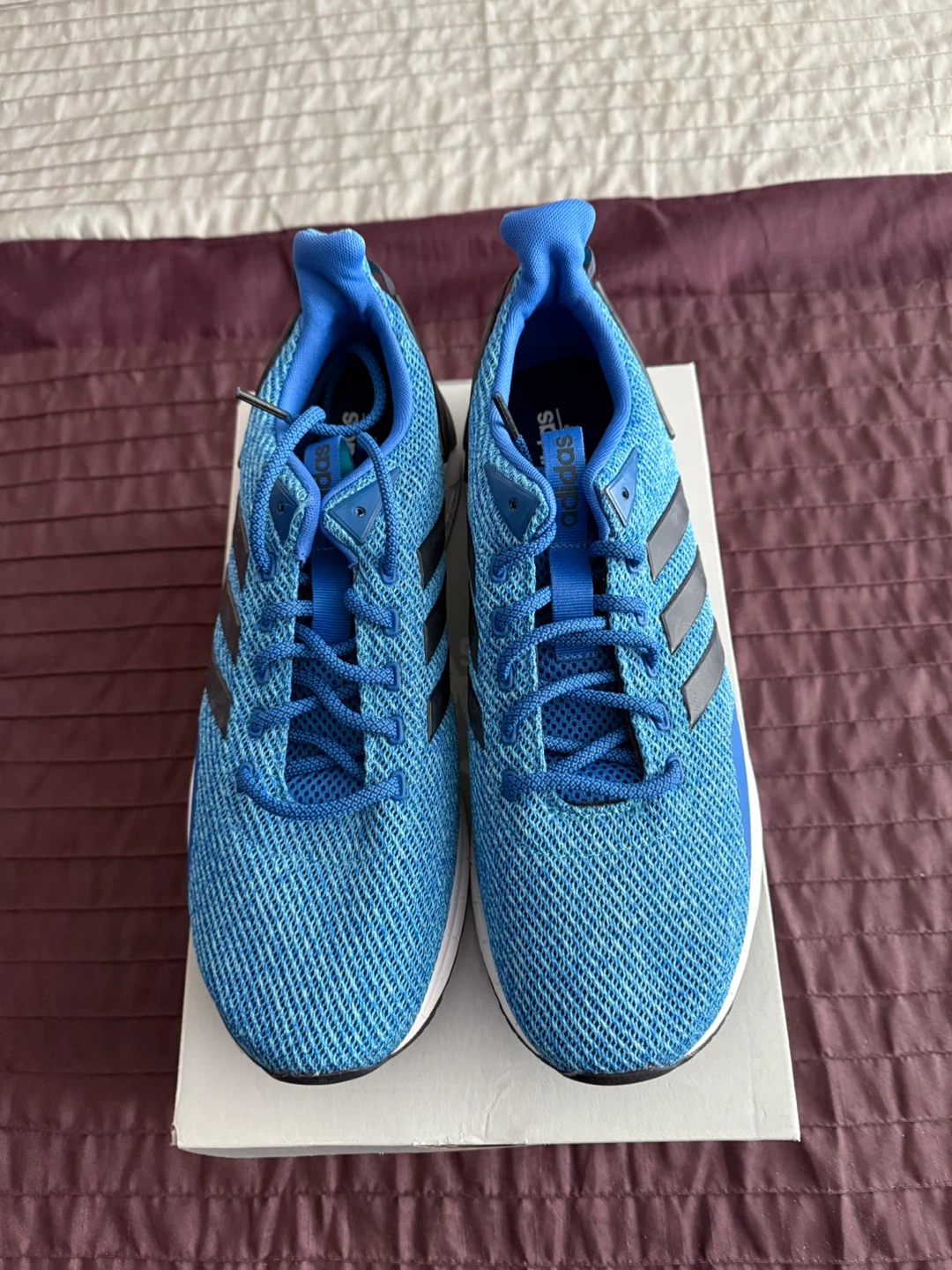 Adidas Questar Ride Men’s Running Shoes Blue
