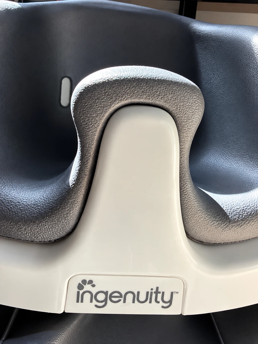 Ingenuity Baby Base Seat - photo 2
