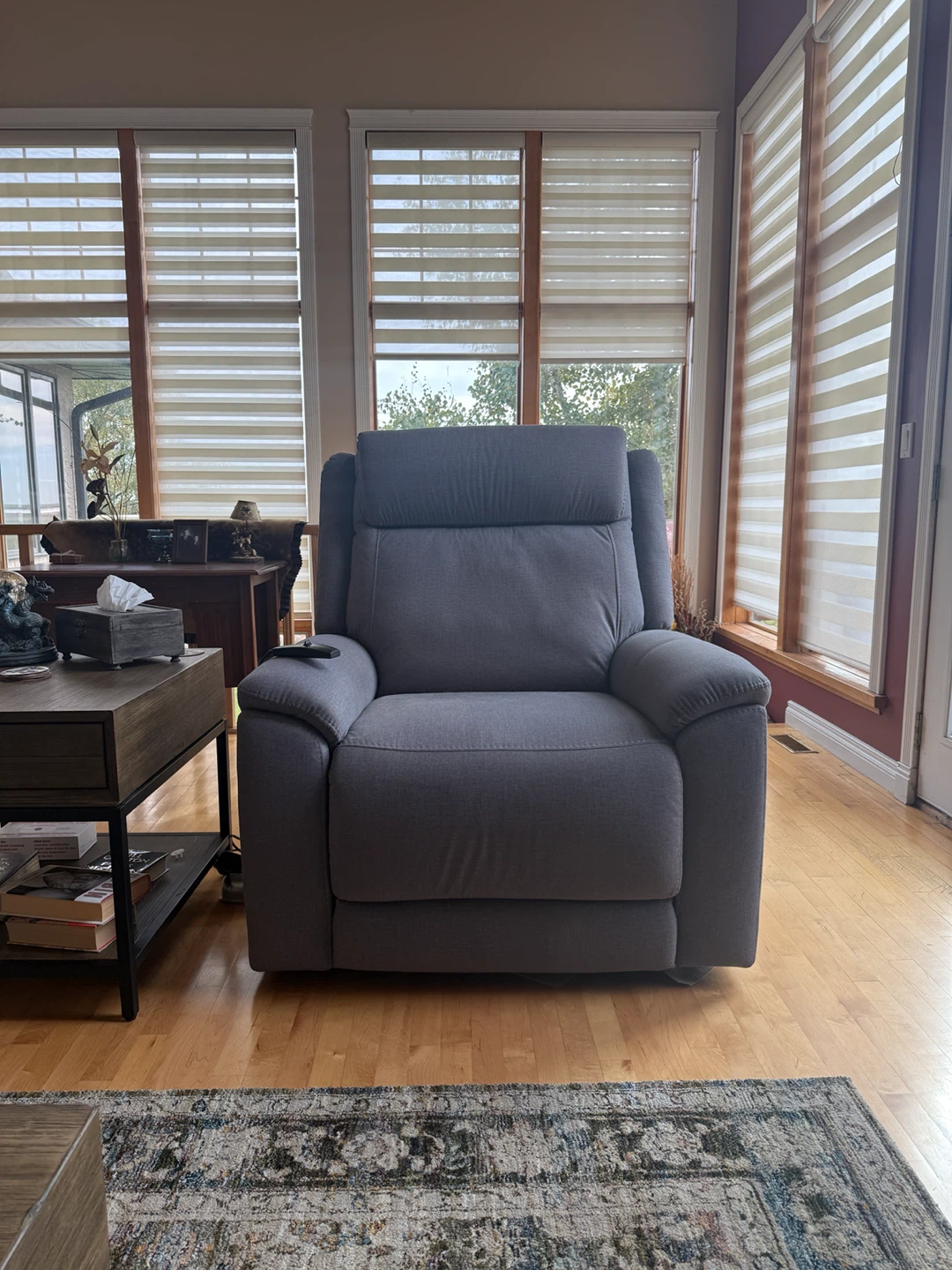 Sitting Pretty Power Lift Recliner - photo 3