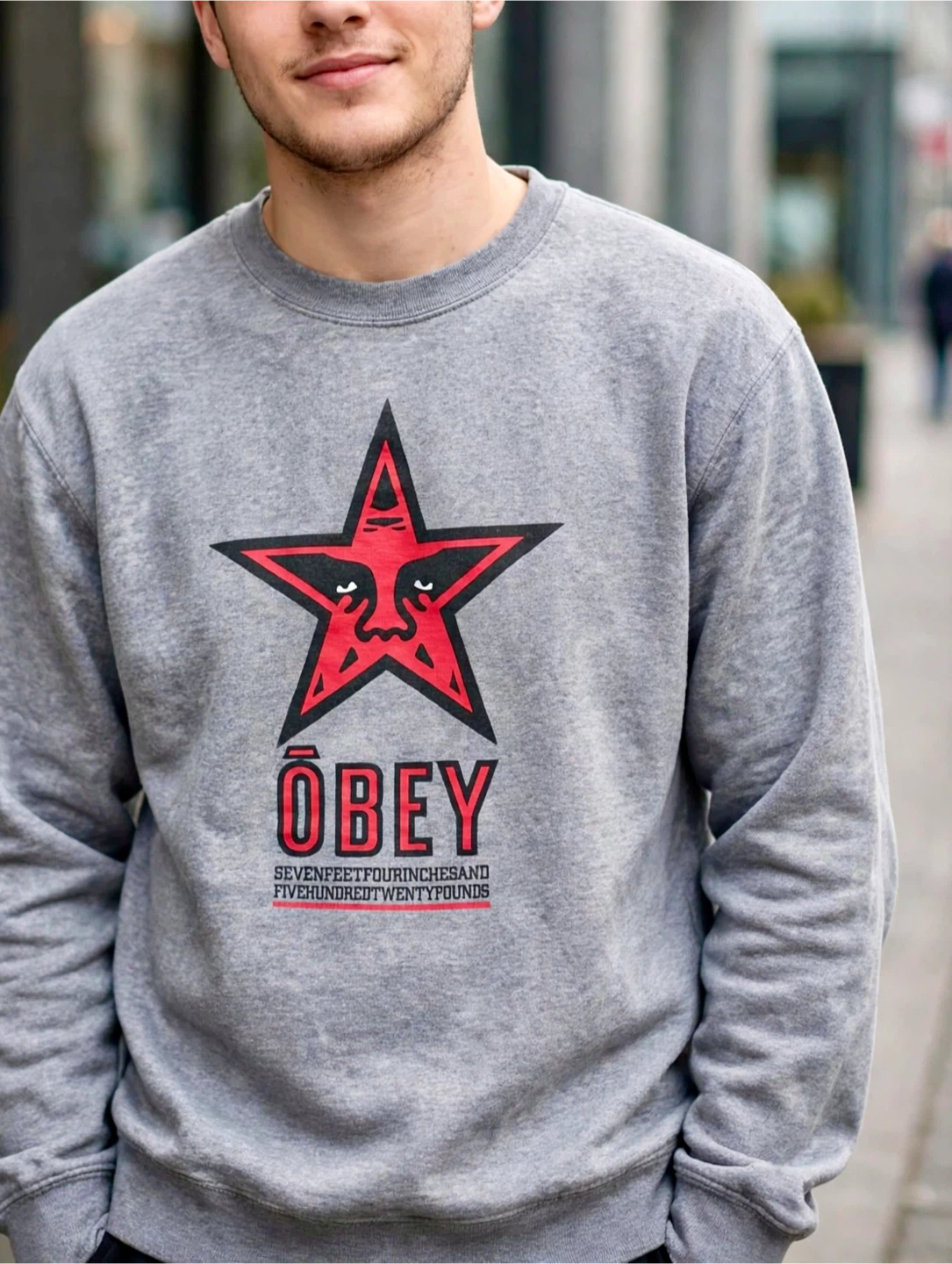 Obey Grey Graphic Sweatshirt - photo 2