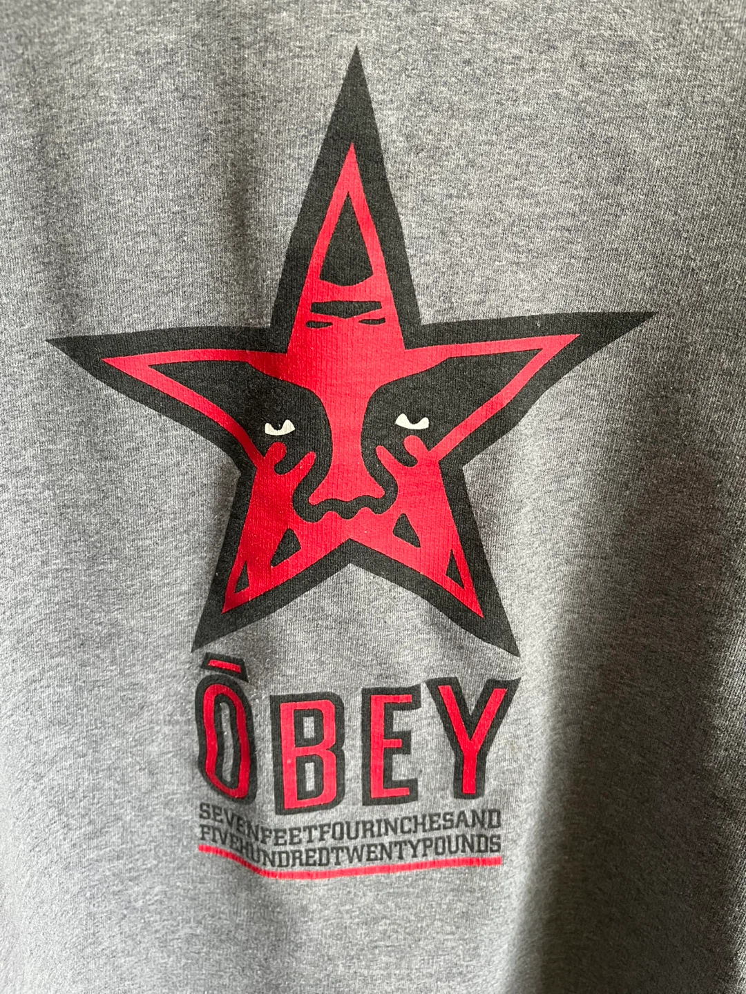 Obey Grey Graphic Sweatshirt - photo 4