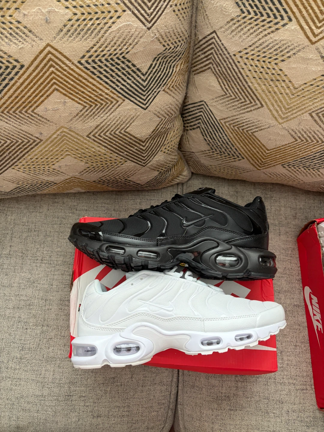 Nike air max tn