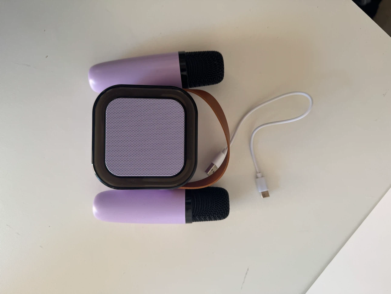 IROO x Karafun Karaoke Speaker System - photo 2