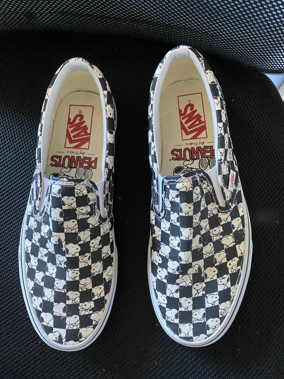 Vans x Peanuts Slip-On Shoes