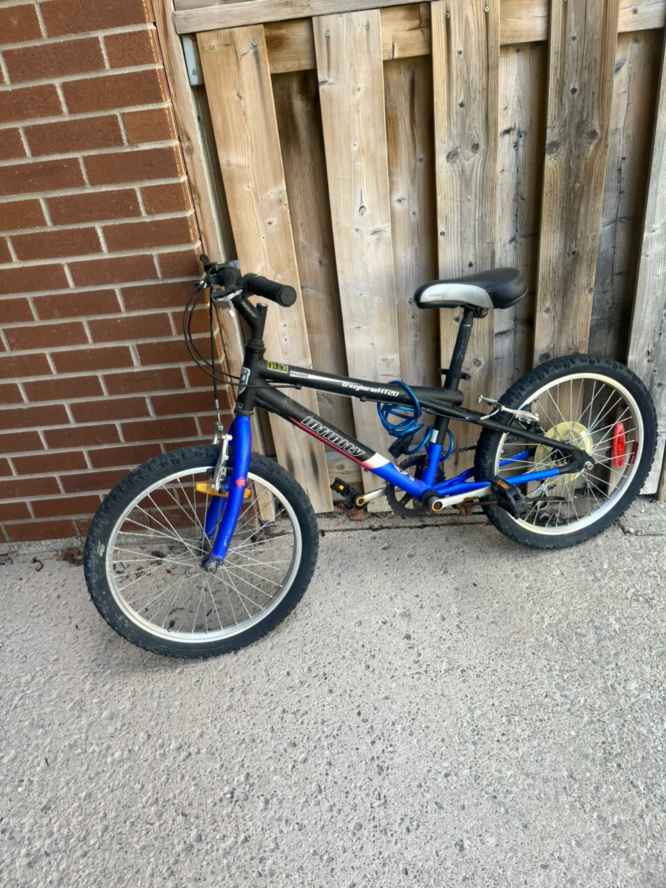 Infinity Crazyhorse HT20 Mountain Bike
