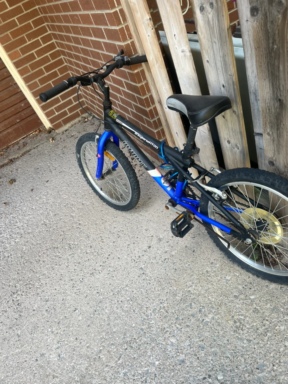 Infinity Crazyhorse HT20 Mountain Bike - photo 3