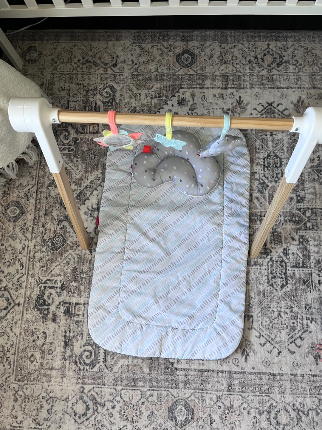 Skip Hop Baby Activity Gym