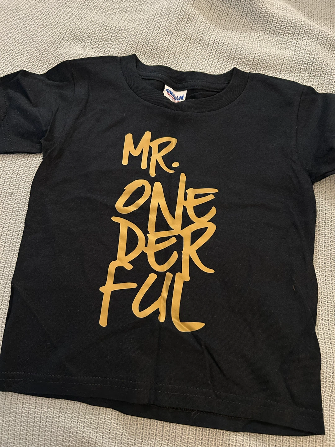 Gildan Mr. Onederful T-Shirt