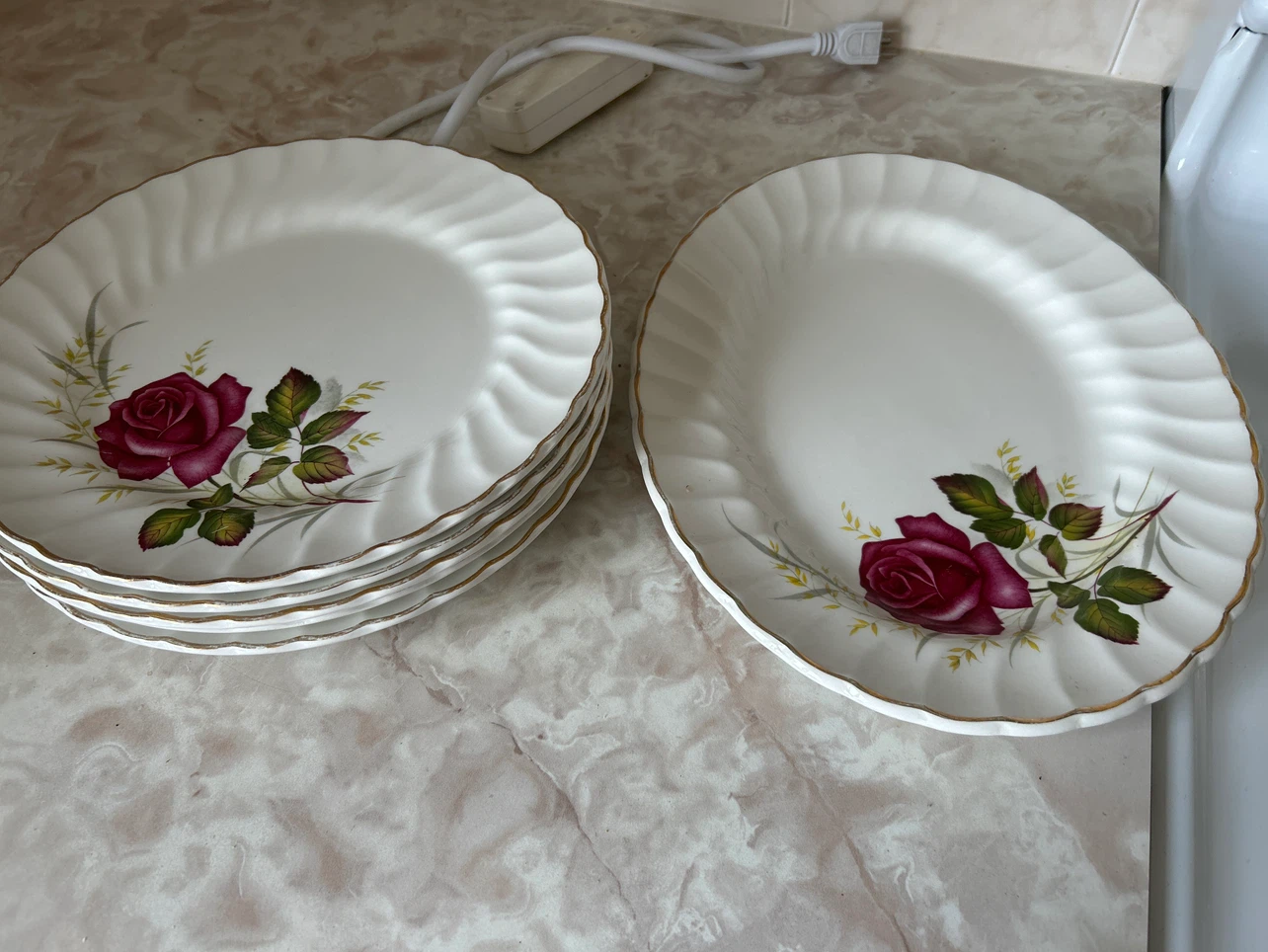 Set of 12 Rose Pattern Plates