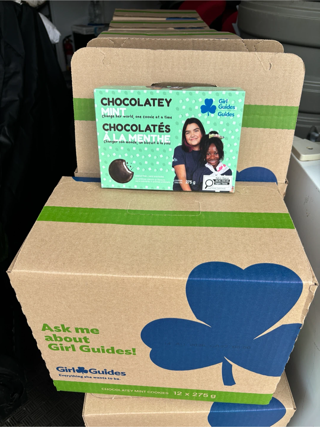 Girl Guides Chocolatey Mint and Chocolate & Vanilla Cookies