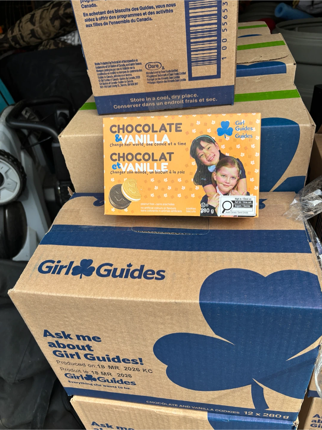 Girl Guides Chocolatey Mint and Chocolate & Vanilla Cookies - photo 2
