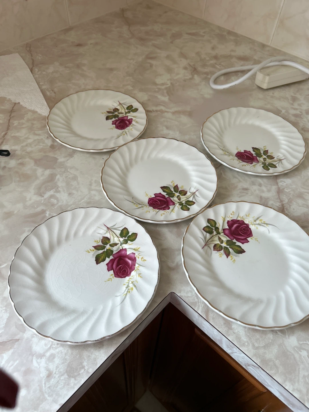 Set of 12 Rose Pattern Plates - photo 4