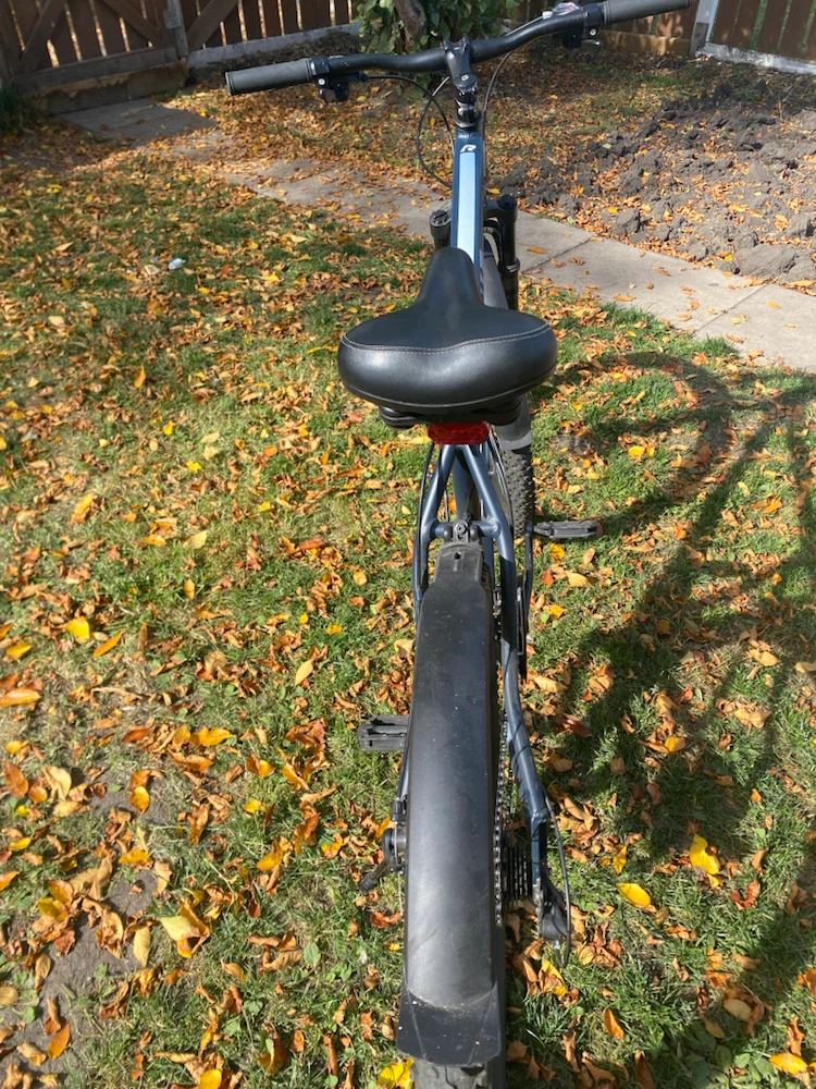 Raleigh Transfer Hybrid Bike - photo 3