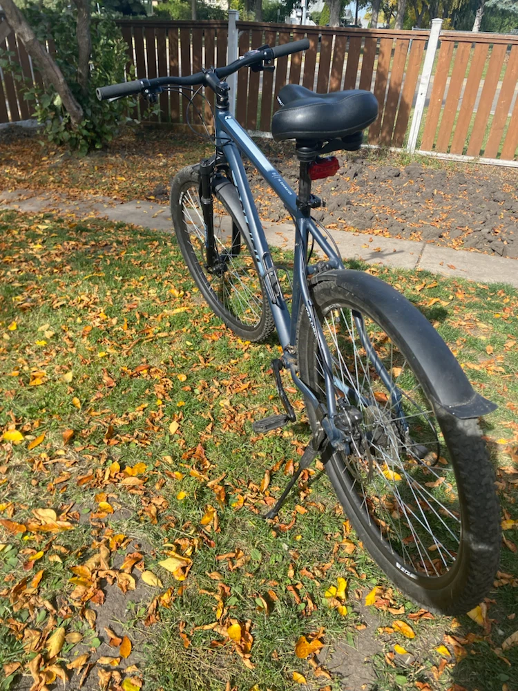 Raleigh Transfer Hybrid Bike - photo 4