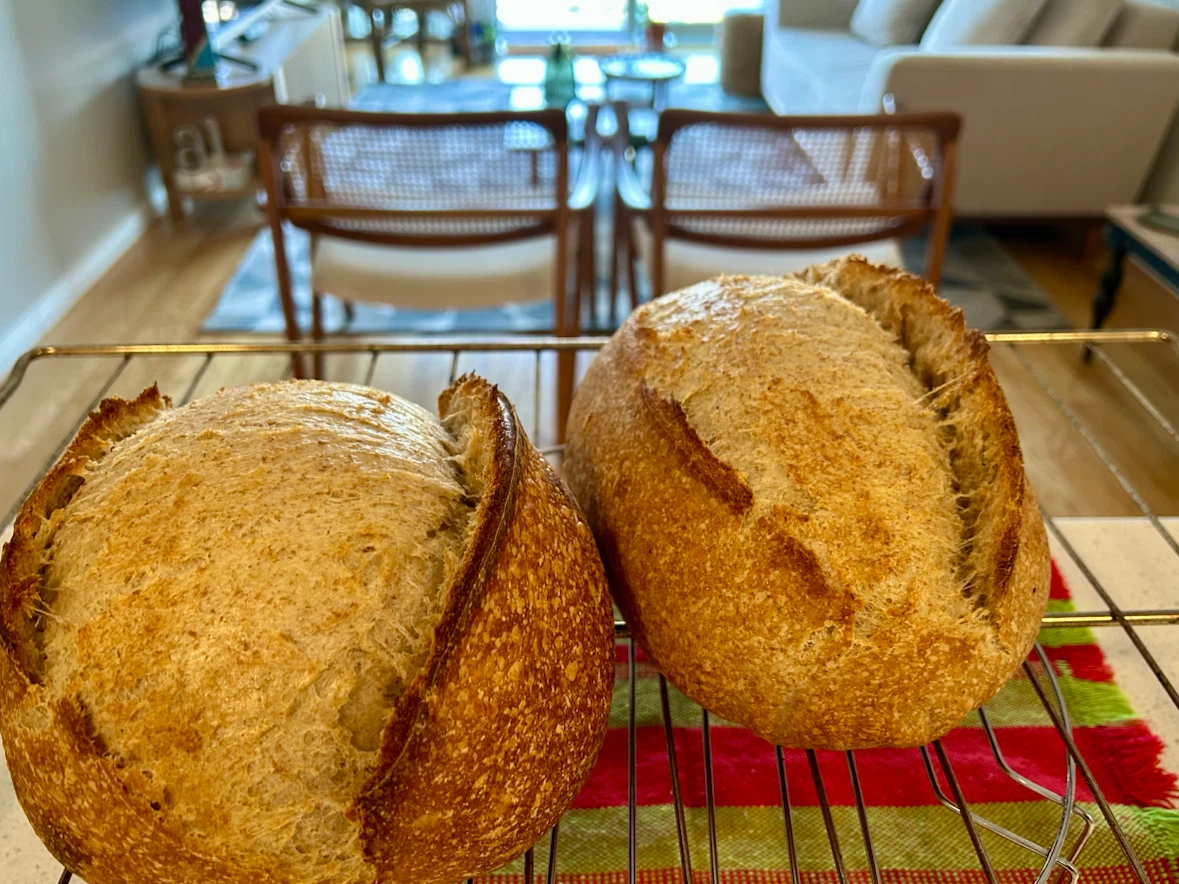 Homemade Sourdough Bread