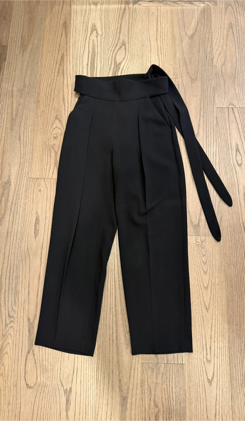 Aritzia Dress Pants