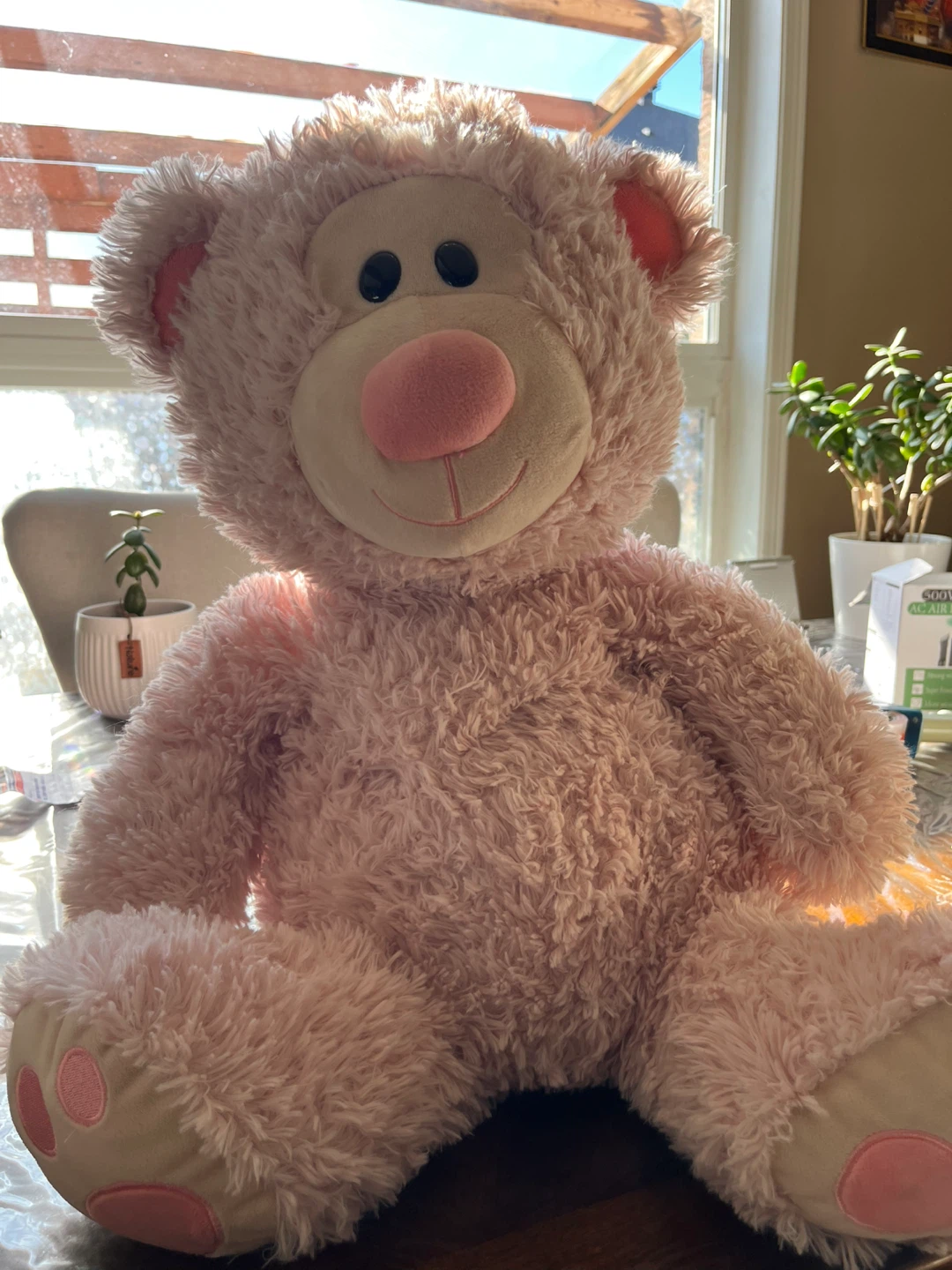 Large Pink Plush Teddy Bear