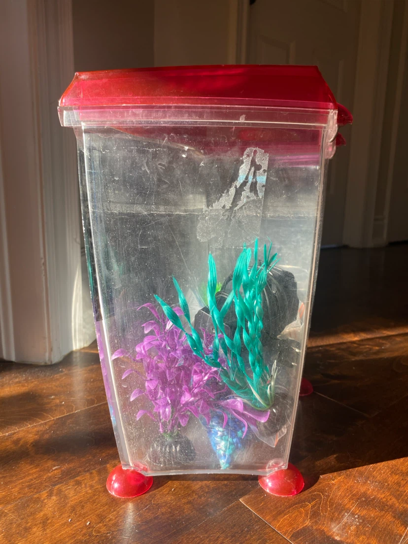Plastic Fish Tank with Accessories and filter