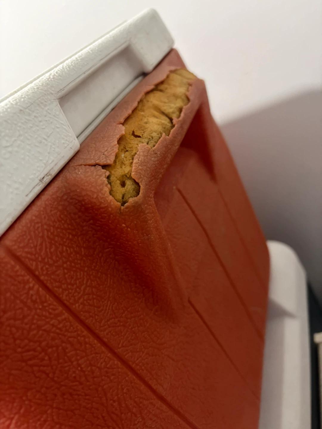 KitKat and Coleman Coolers - photo 2
