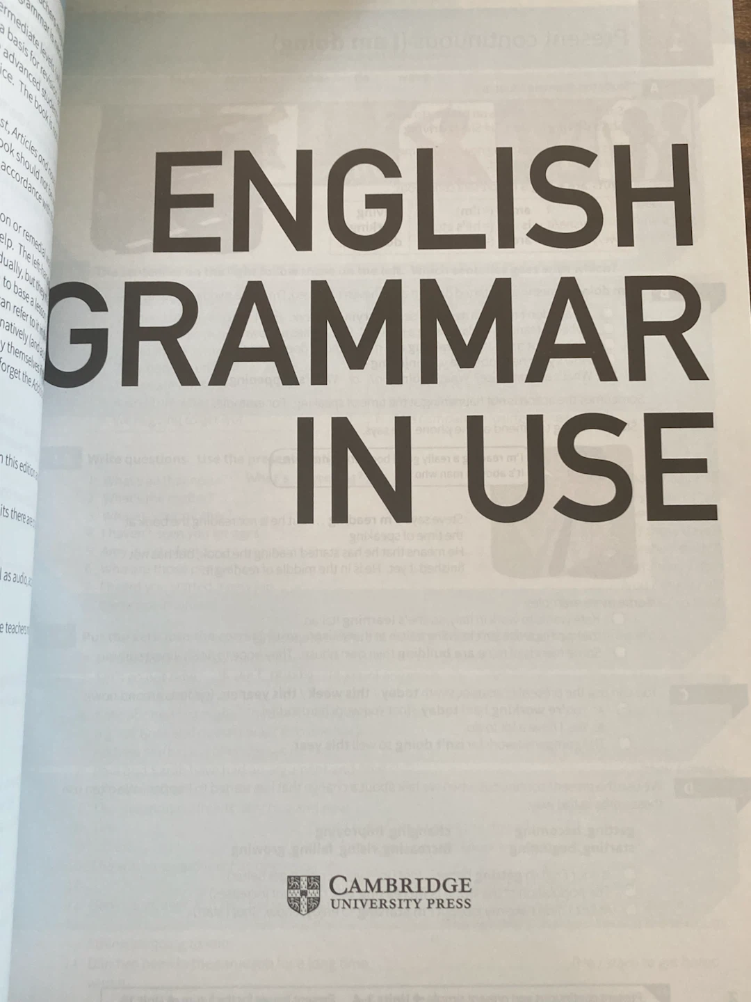 Brand New, English Grammar in Use, Fifth Edition - photo 3