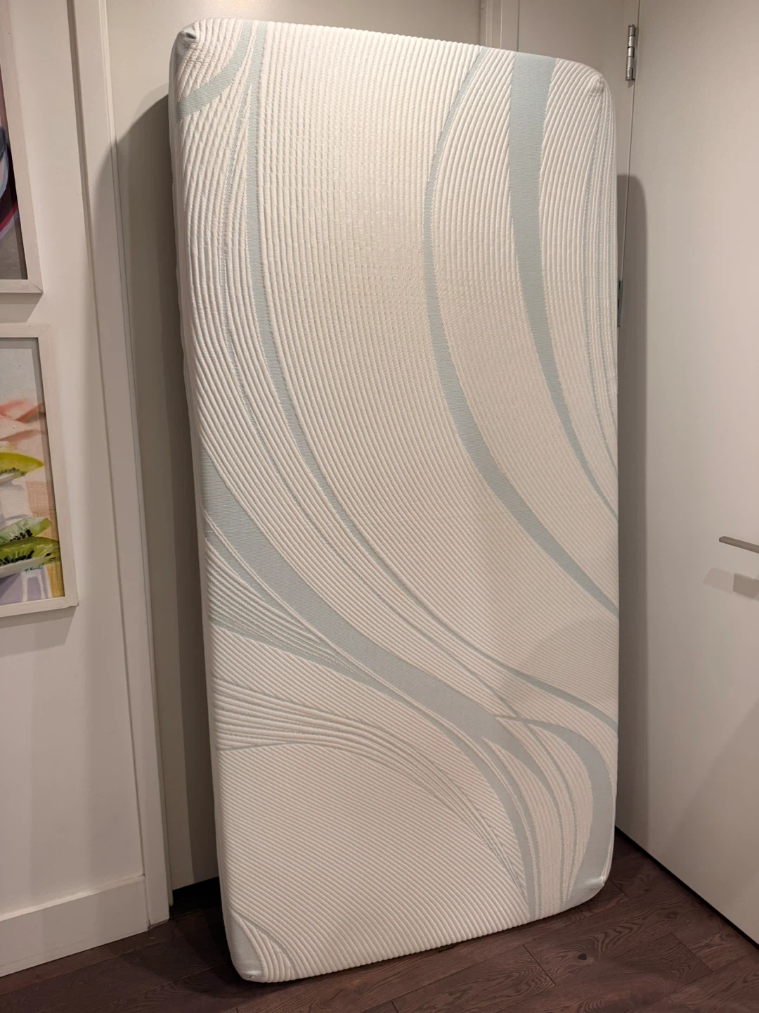 Twin Size Foam Mattress