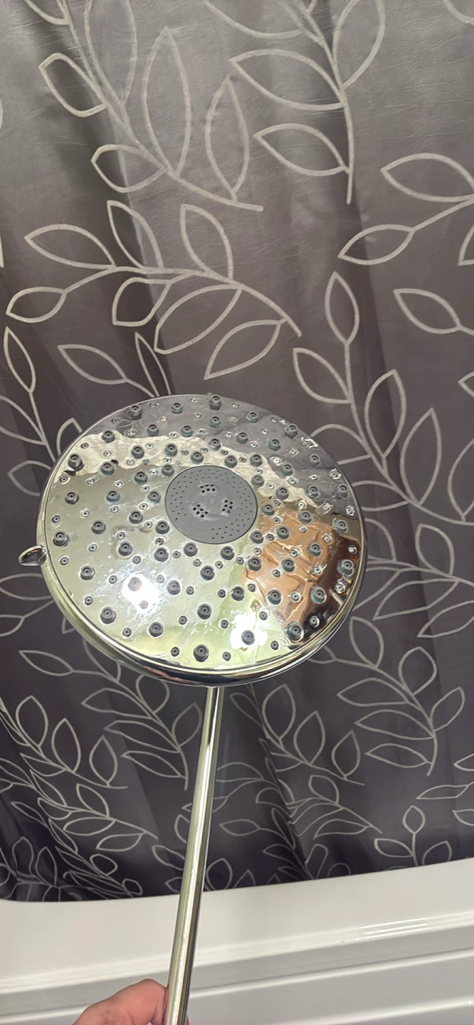 Chrome Shower Head with Adjustable Arm