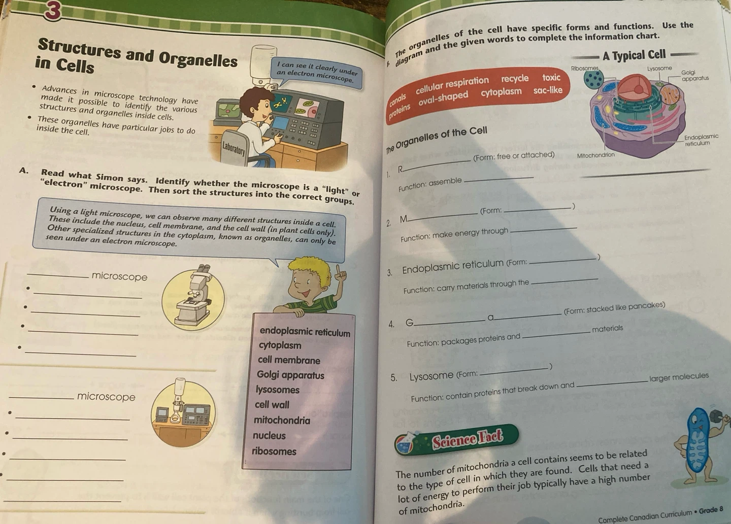 Trade or $7. Complete Canadian Curriculum Grade 8 - photo 3
