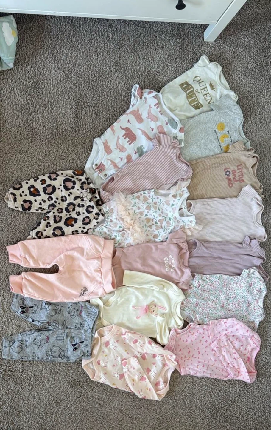 Baby Girl Clothing Bundle