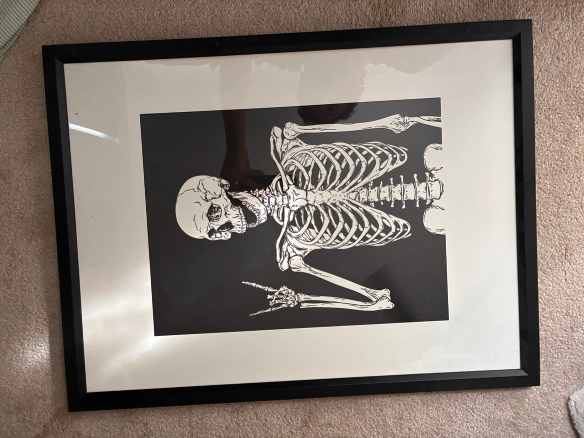 Framed Skeleton Wall Art