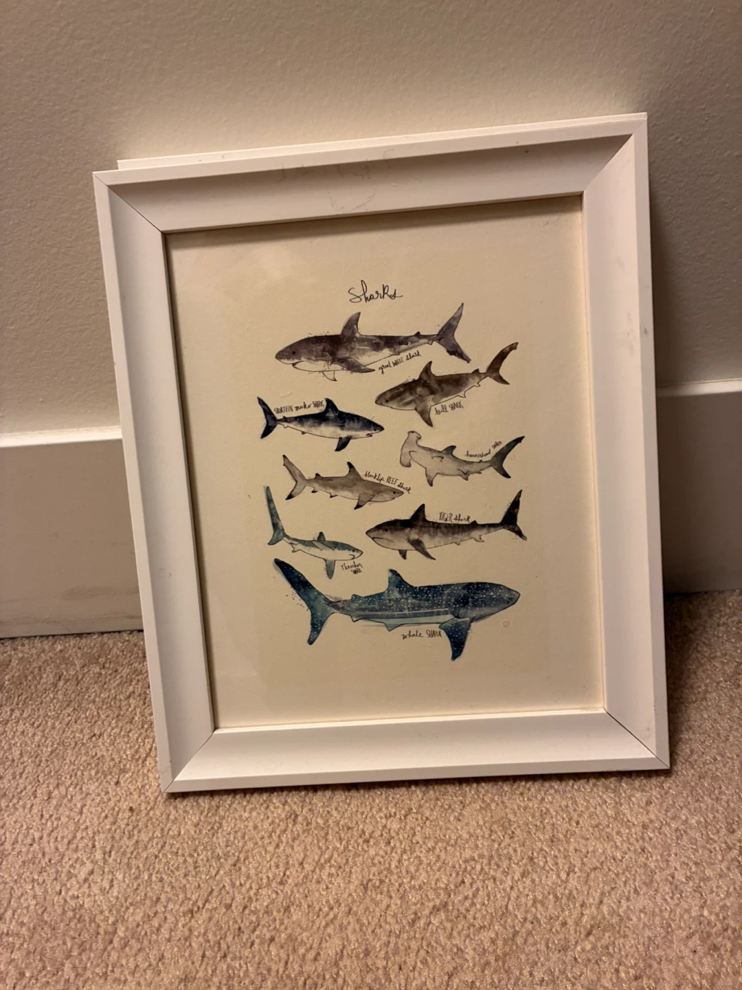 Two Framed Wall Art Prints