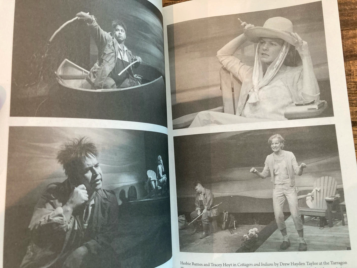 New, Cottagers and Indians by Drew Hayden Taylor - photo 4