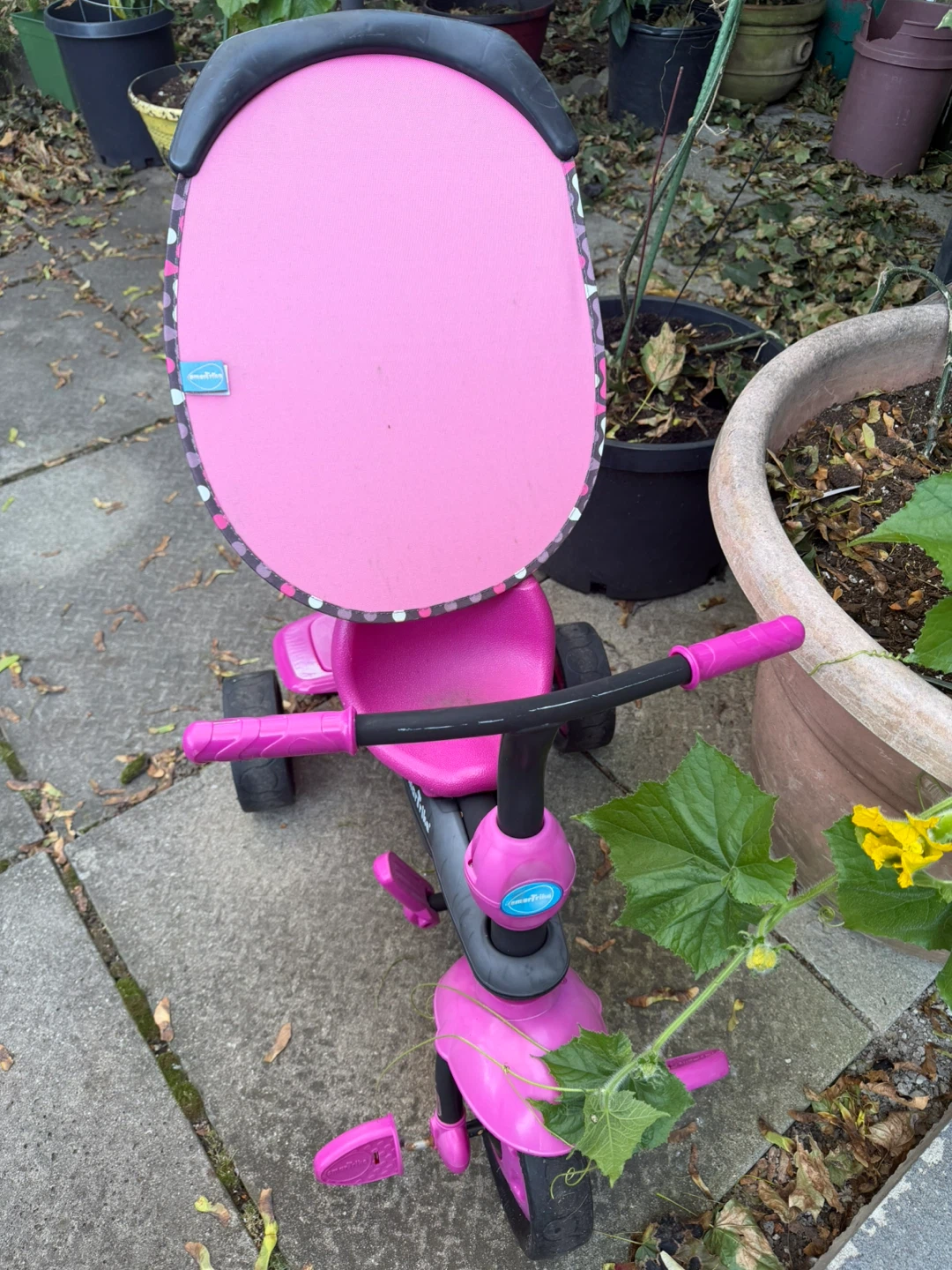 smartTrike Pink Tricycle