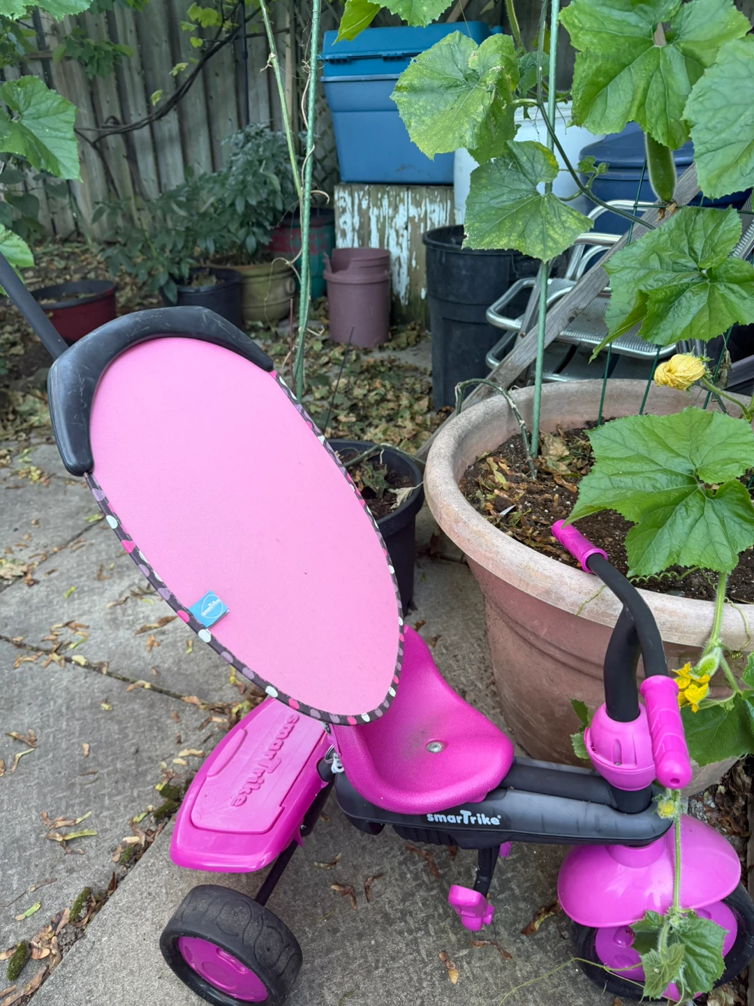 smartTrike Pink Tricycle - photo 2