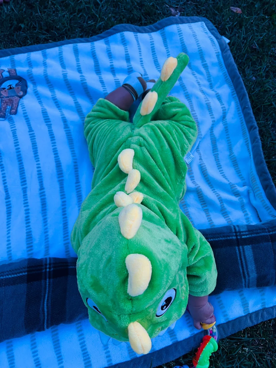 Toddler Dinosaur Costume - photo 3