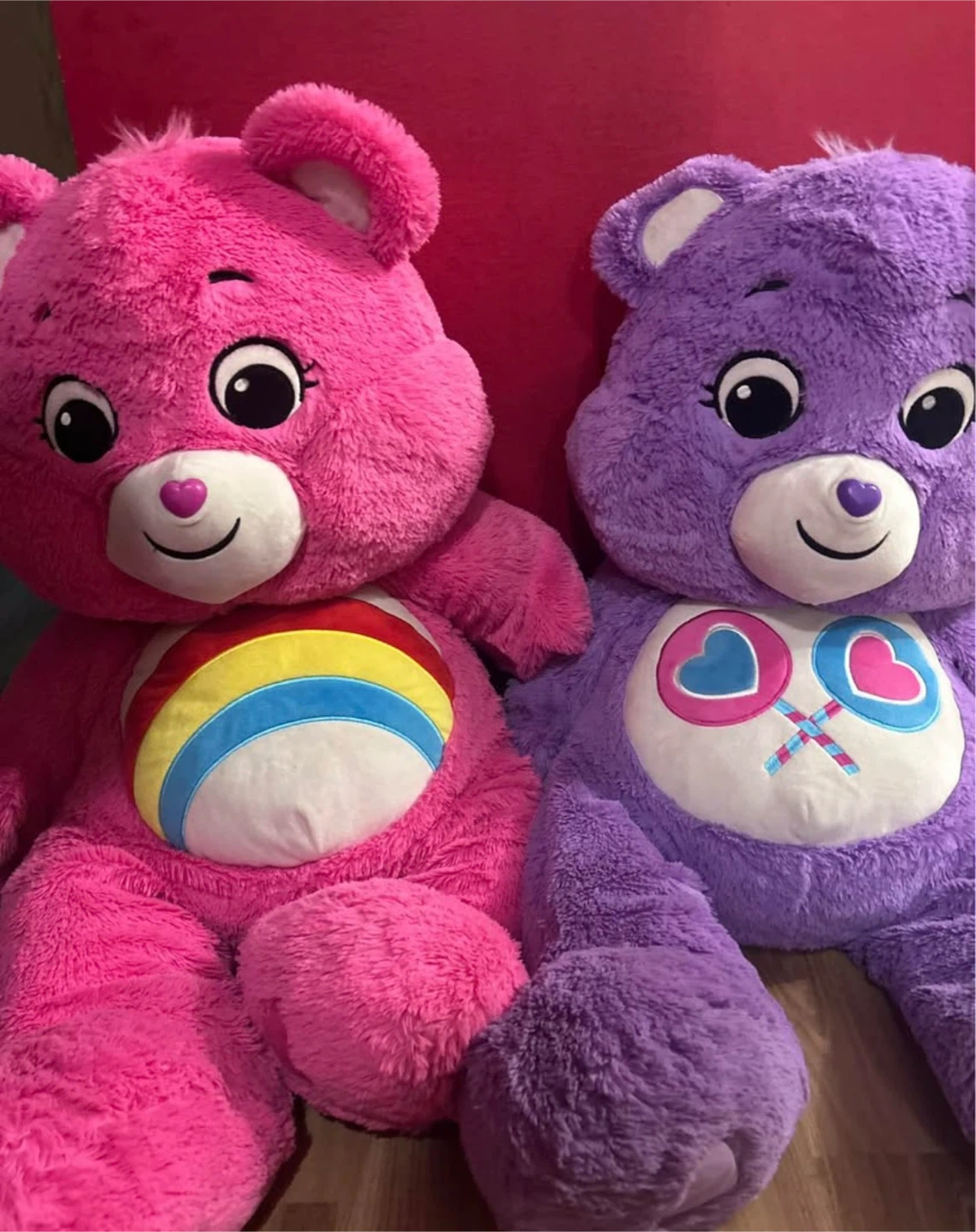 Two Large Care Bears Plush Toys
