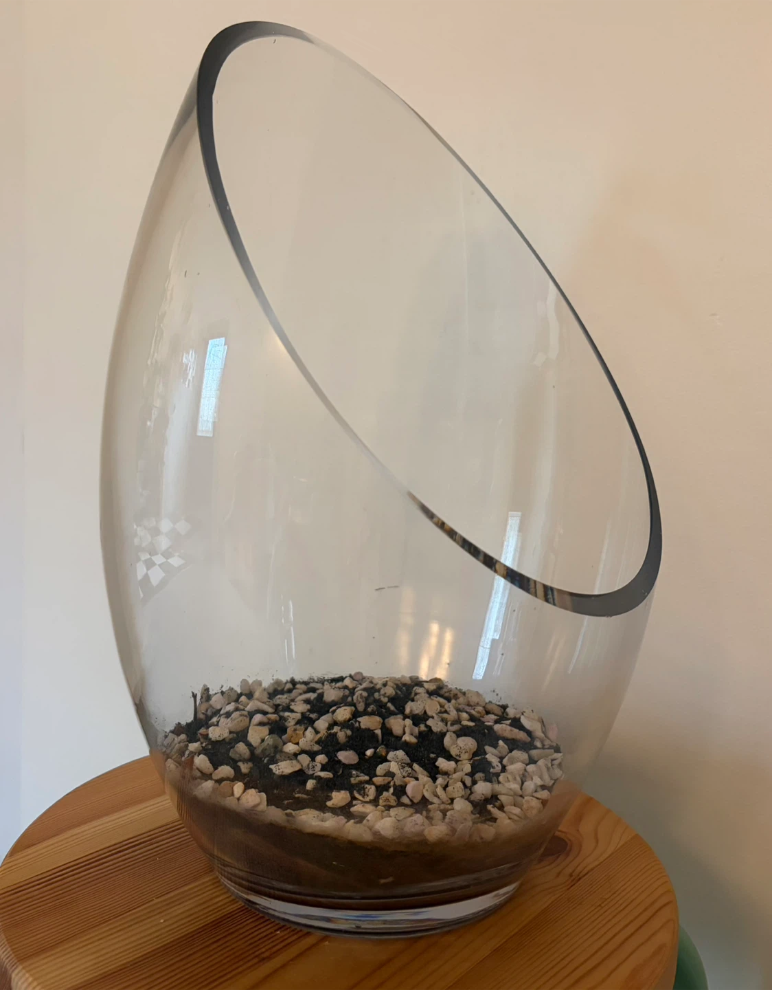 Large Glass Terrarium Bowl