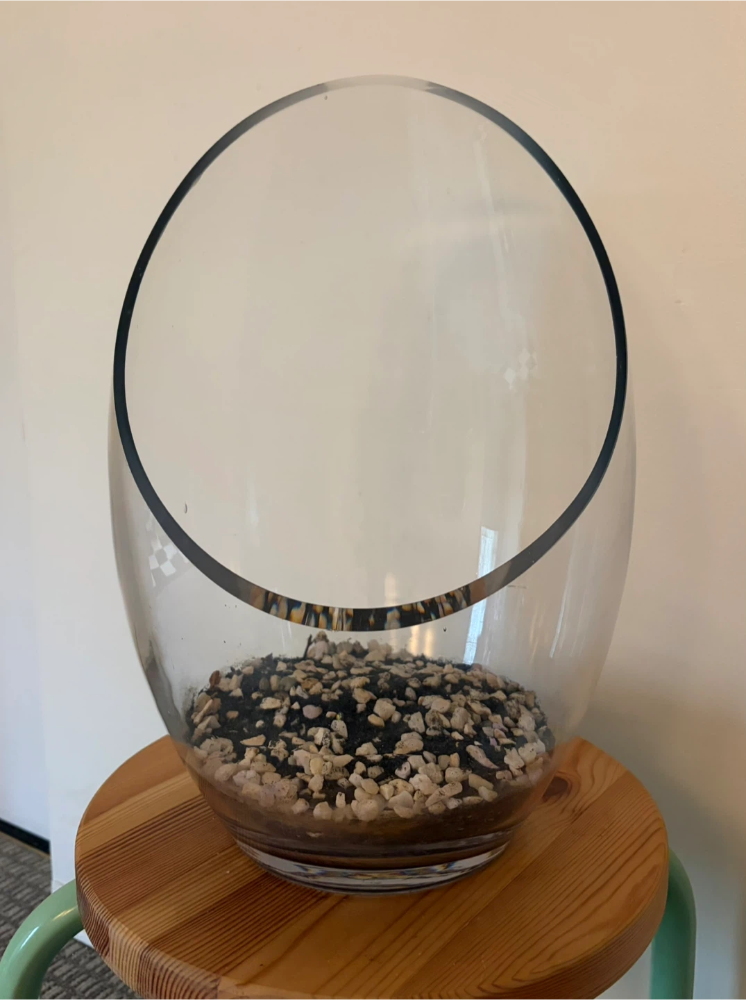 Large Glass Terrarium Bowl - photo 2