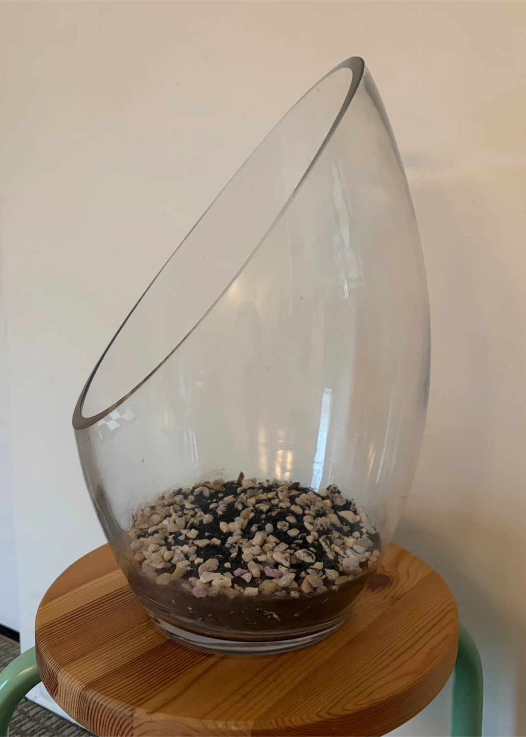 Large Glass Terrarium Bowl - photo 3