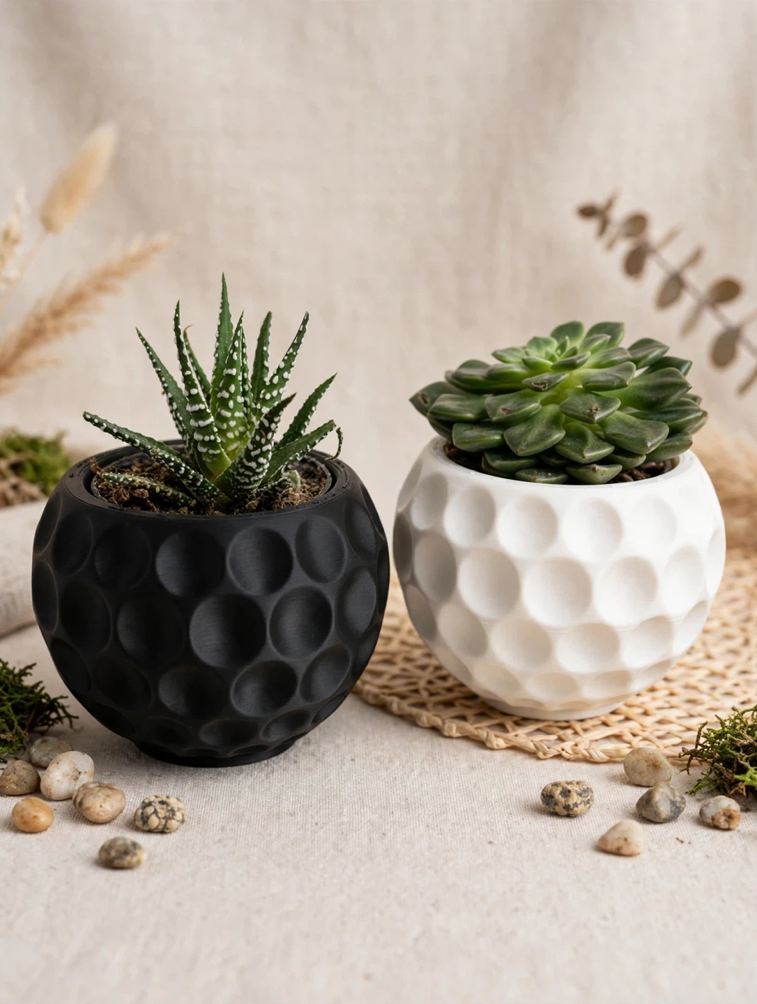 Two Succulents in Golf Ball Pattern Planters