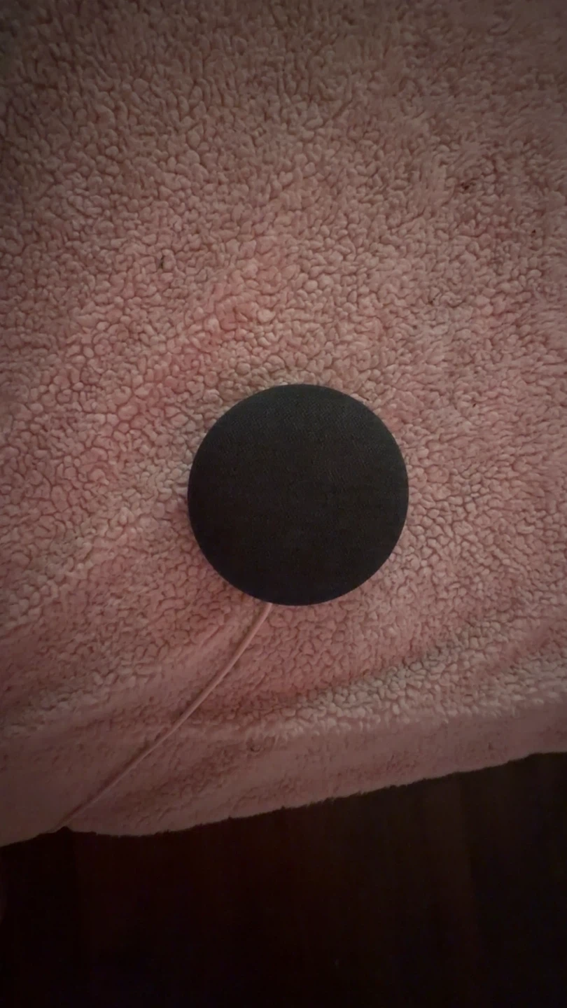 Google Nest Mini Charcoal